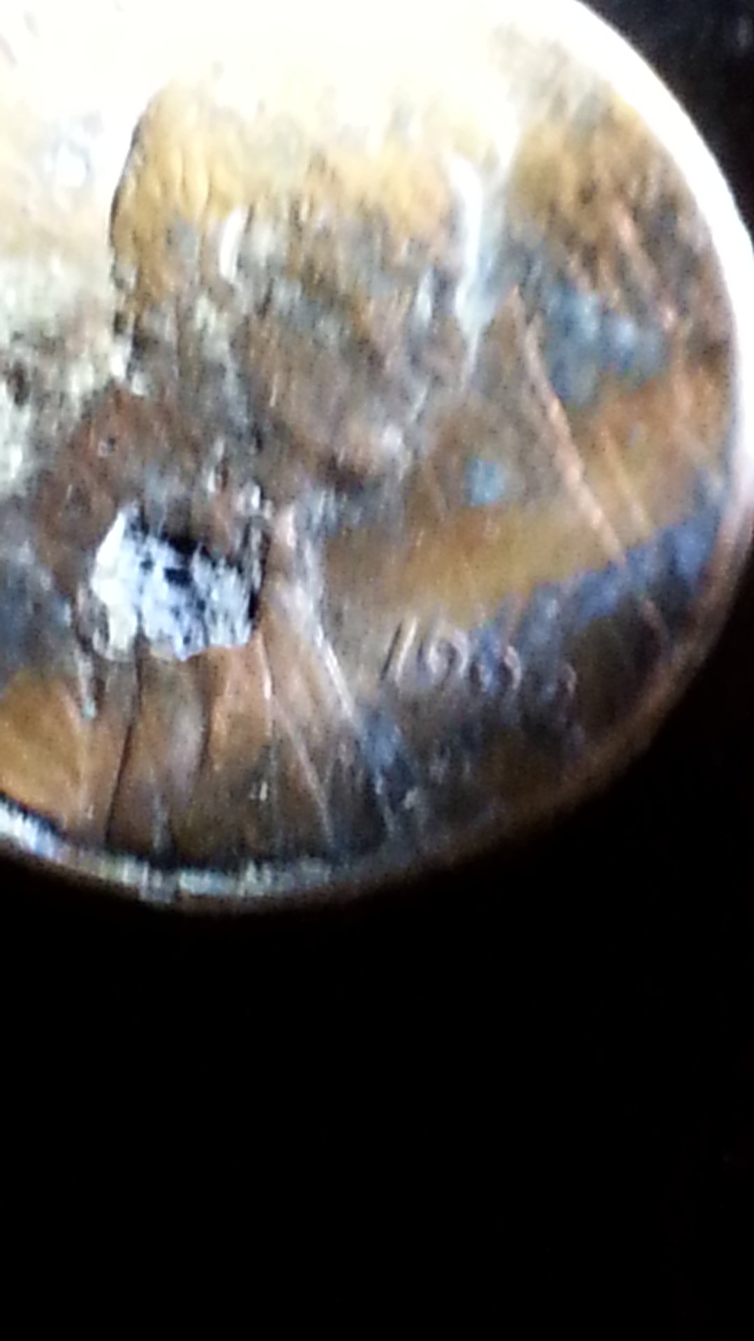 20151228_235335.jpg