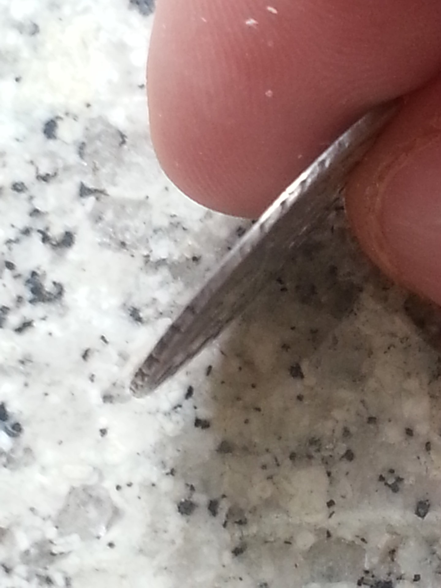 20151230_083957.jpg