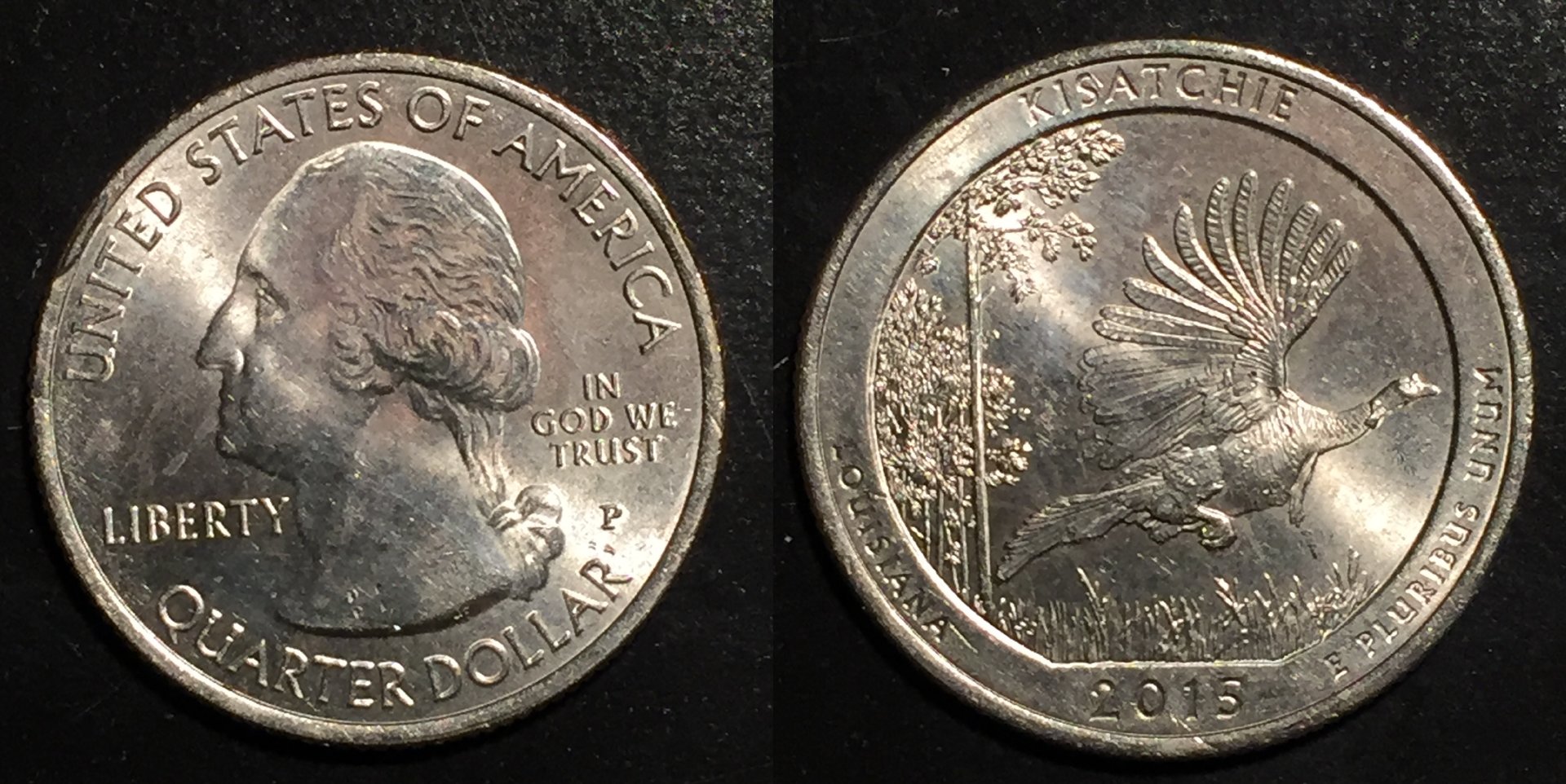 2015P Quarter.jpg
