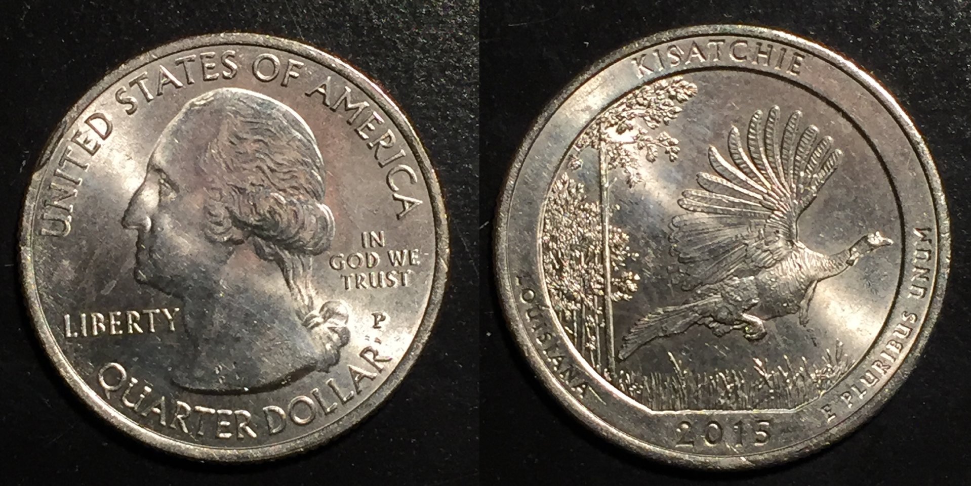 2015P Quarter.jpg