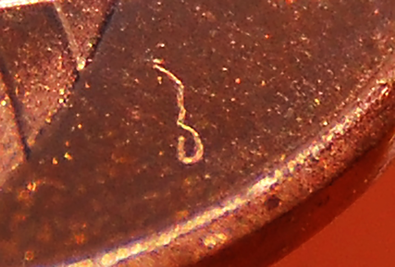 2015prevclo.jpg