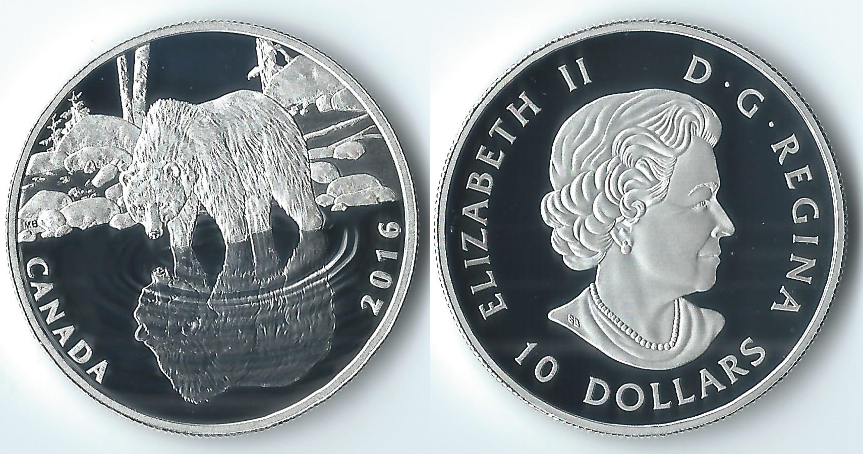 2016 canada 10 dollars bear.jpg