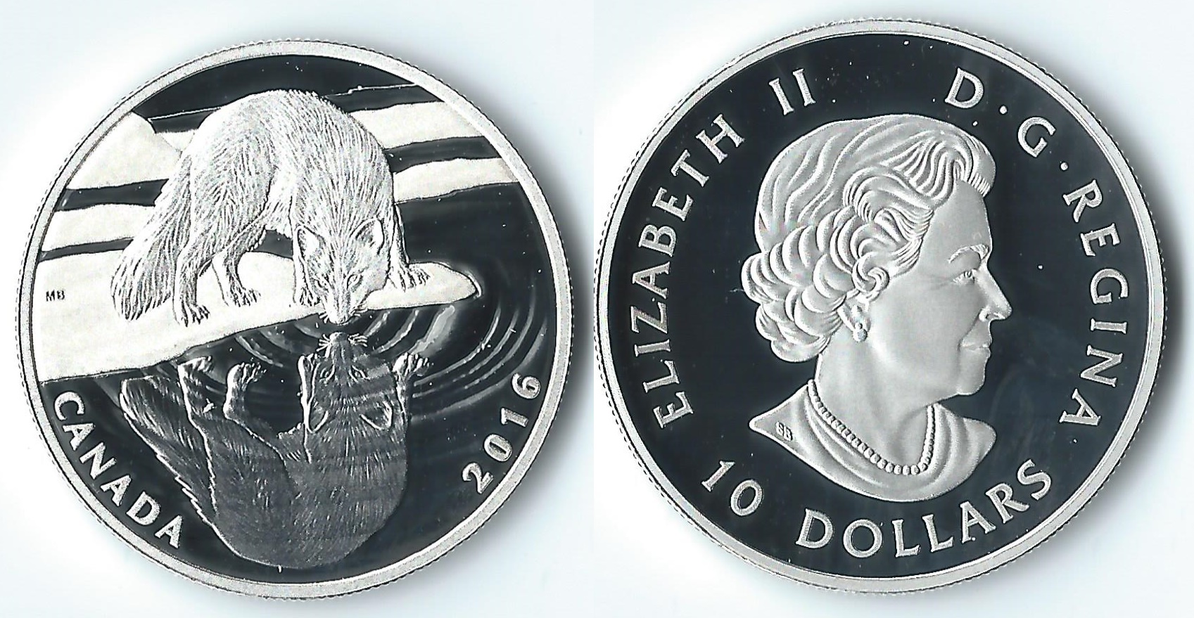 2016 canada 10 dollars fox.jpg
