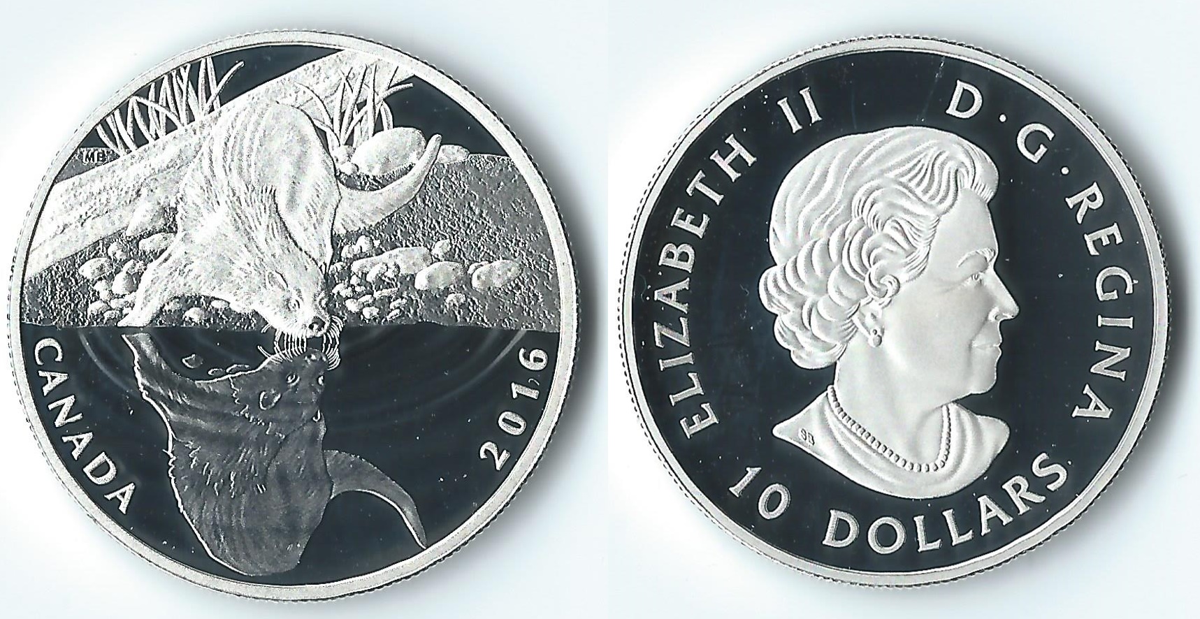 2016 canada 10 dollars otter.jpg