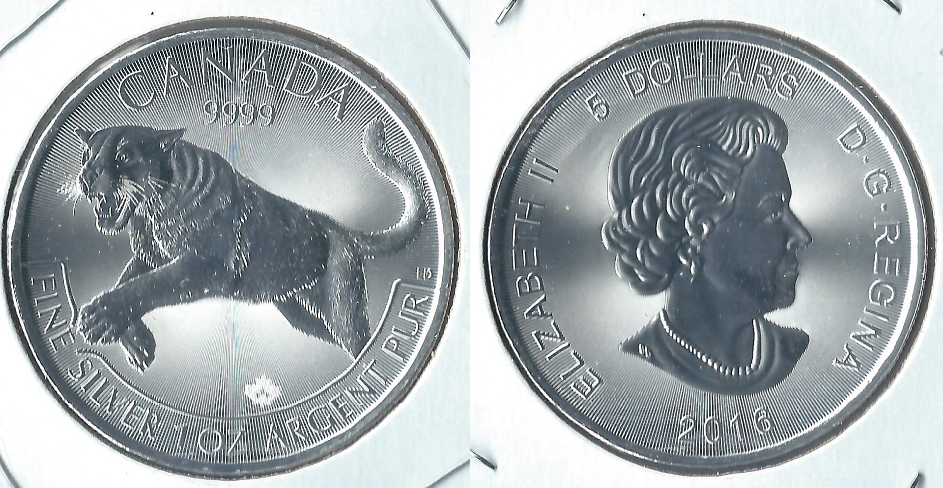 2016 canada 5 dollars cougar.jpg