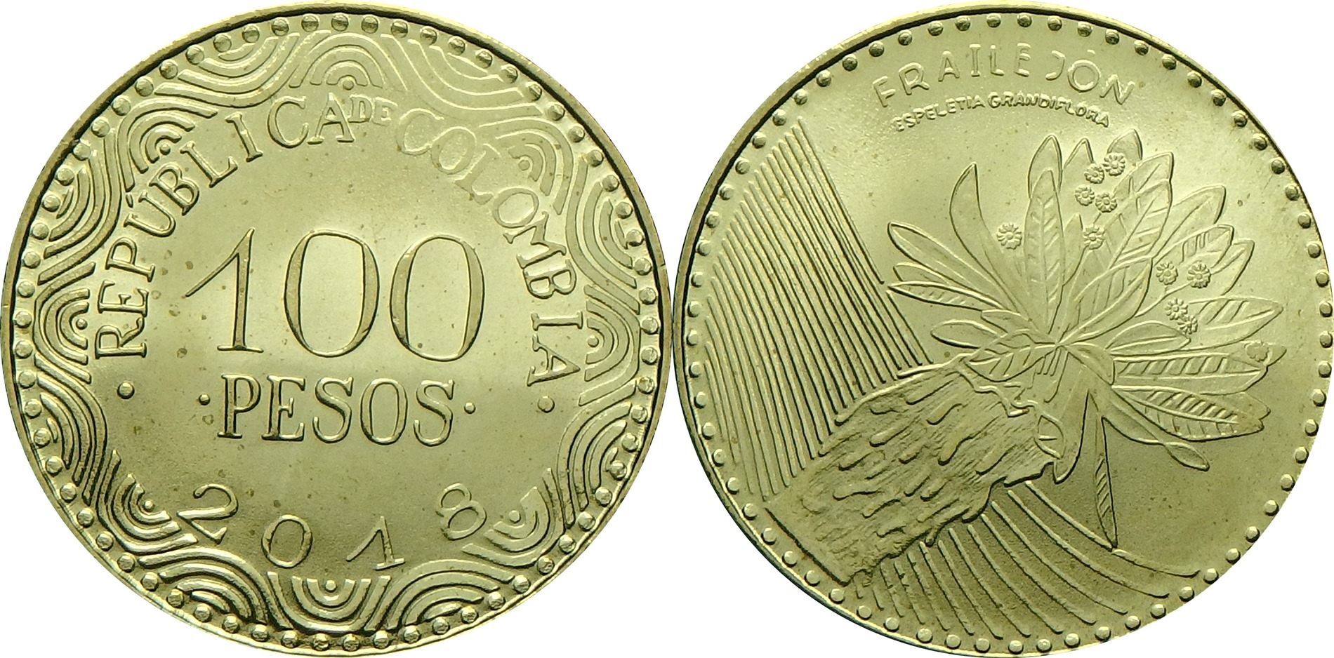2016 CO 100 p.jpg
