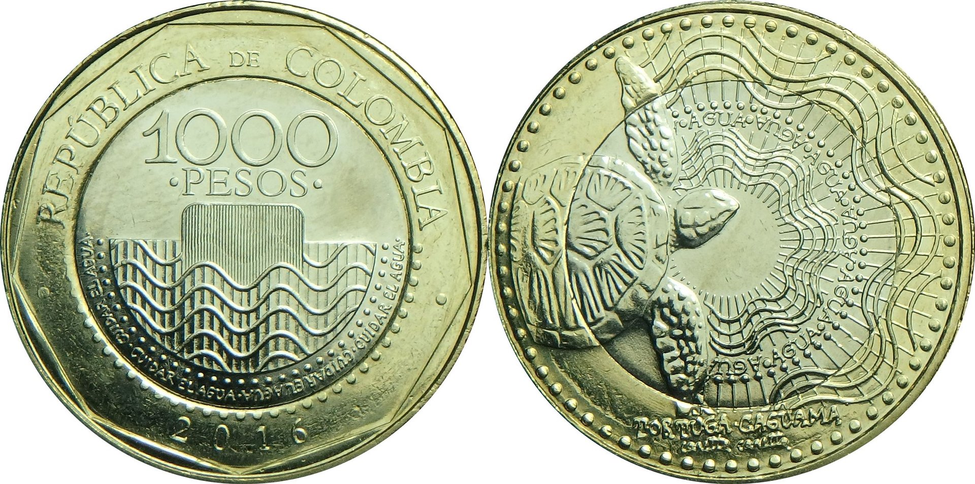 2016 CO 1000 p.jpg