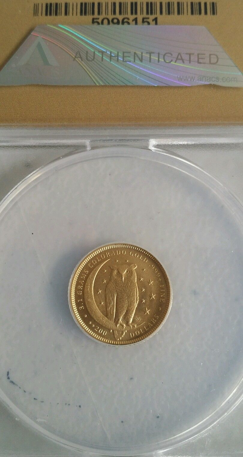 2016 D Gold Owl  2.jpg