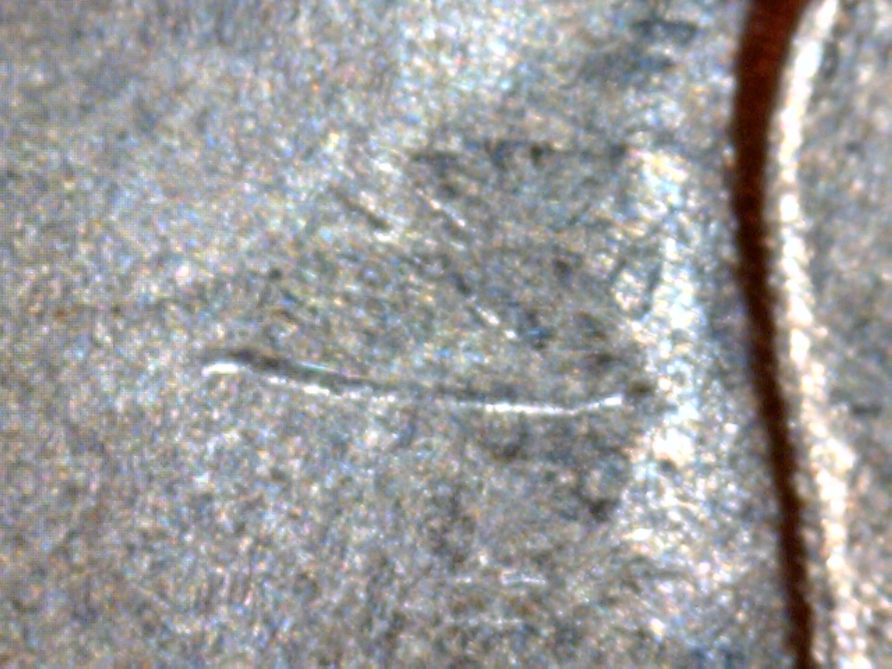 2016 dime 10.jpg