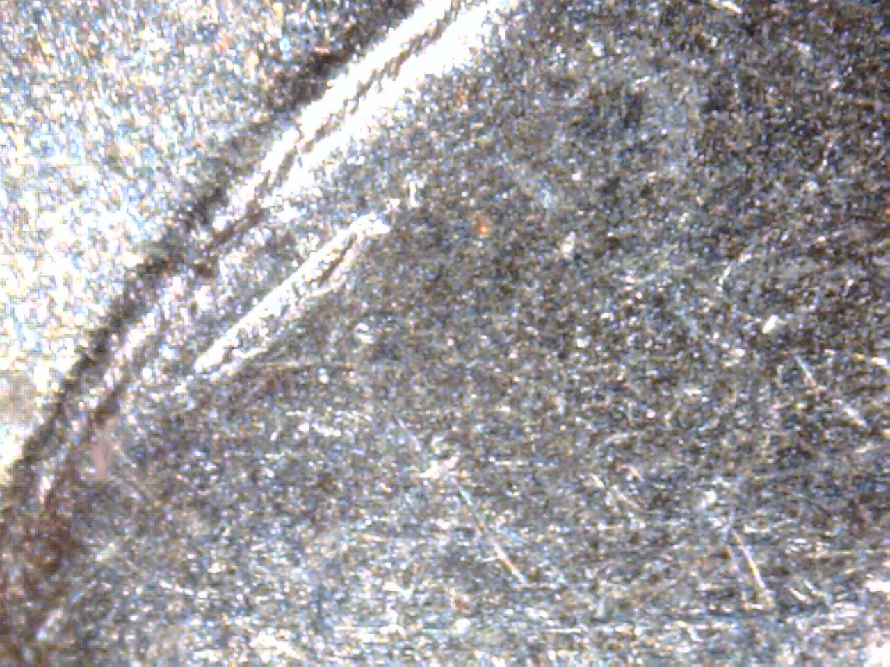 2016 dime 5.jpg