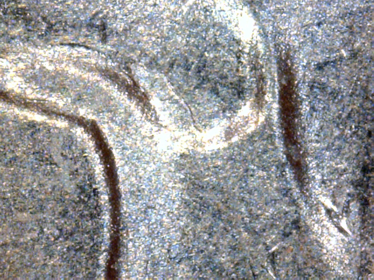2016 dime 7.jpg