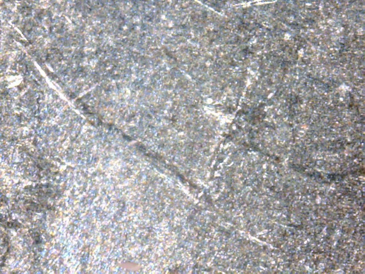 2016 dime 8.jpg