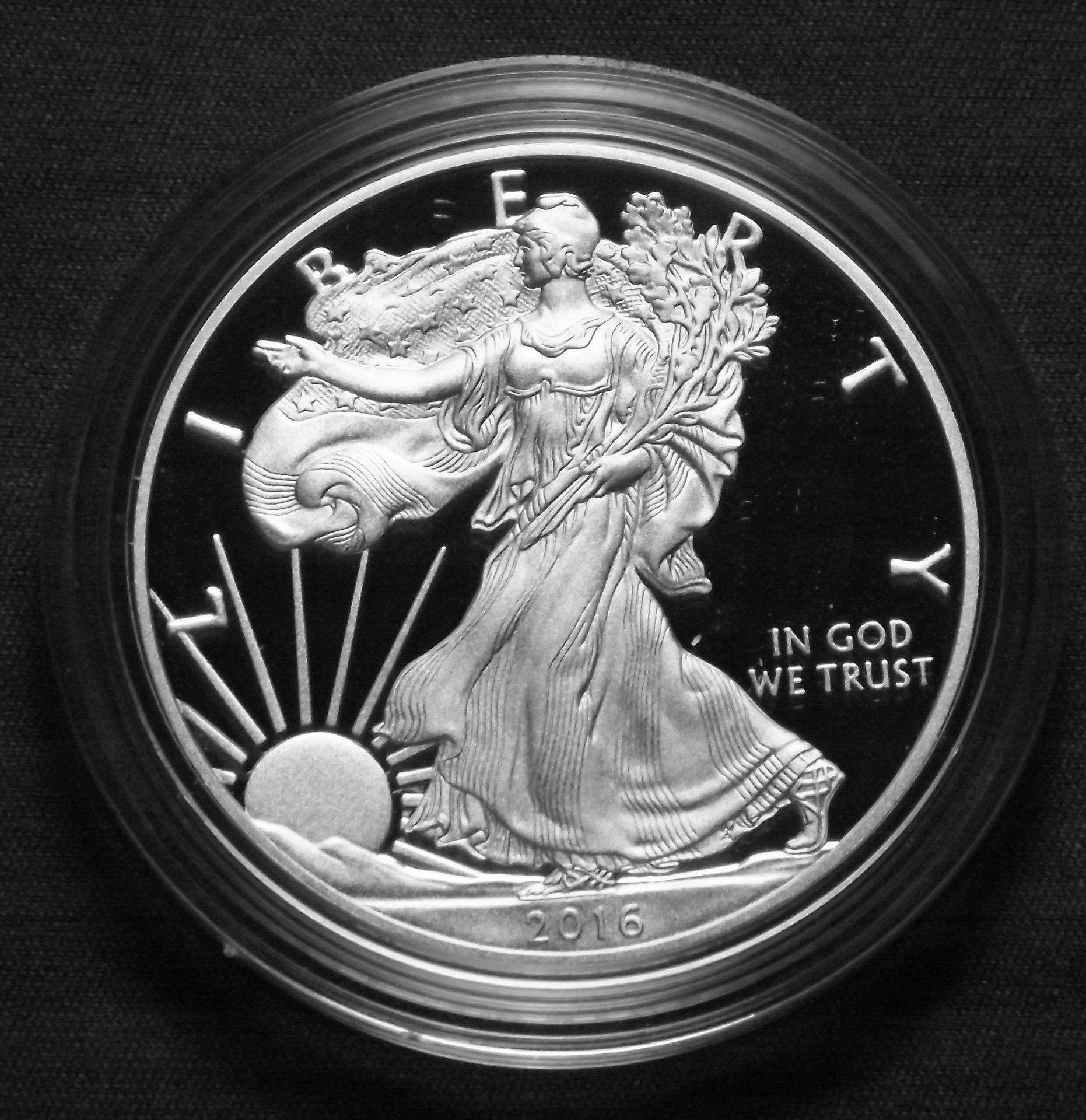 2016 Proof Silver Eagle-Obv-BW.JPG