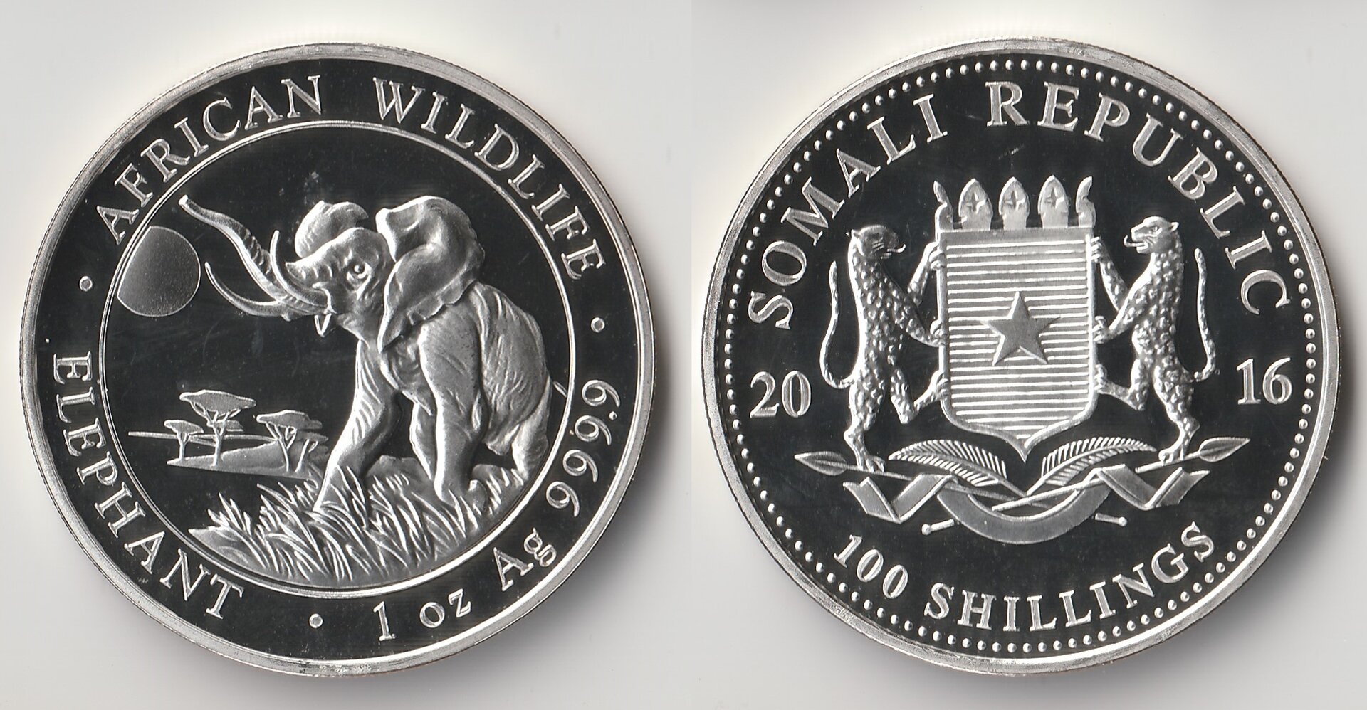 2016 somalia 100 shillings.jpg