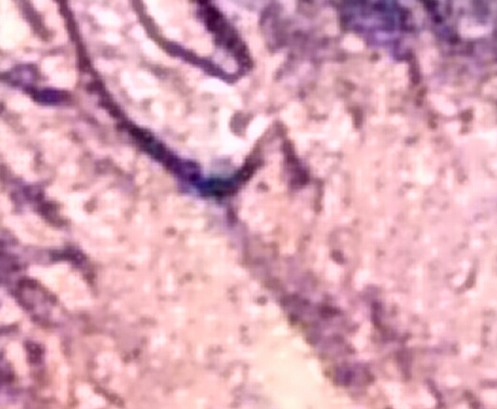 20160114_081003-1.jpg