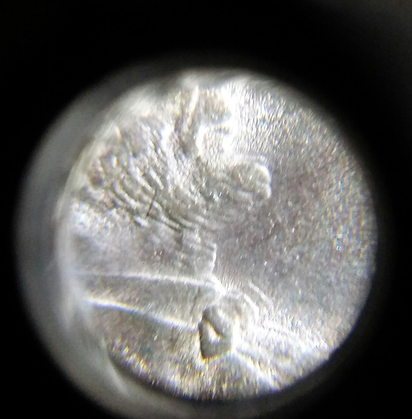 20160120_104025_HDR-1.jpg