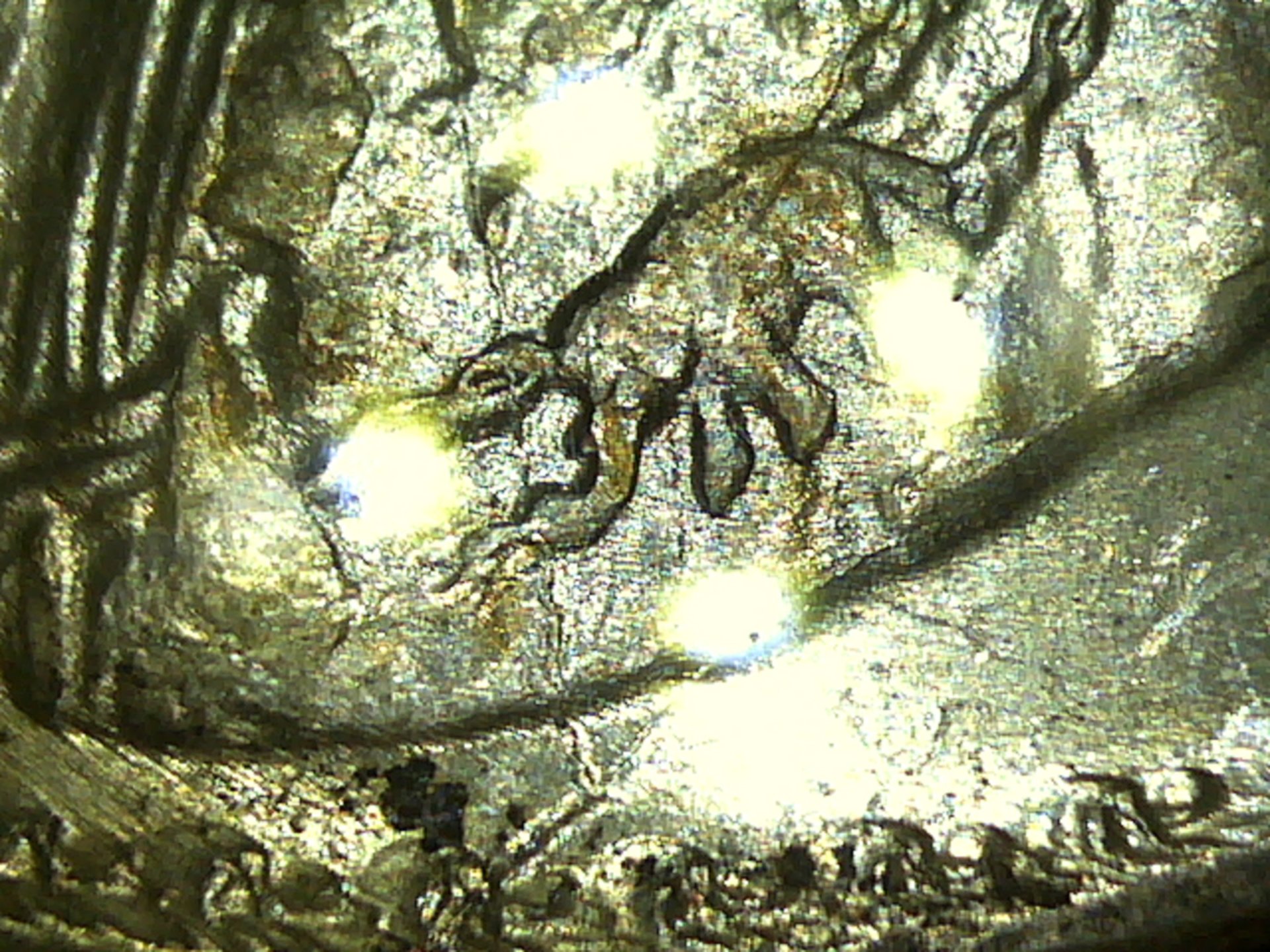 20160129144439.jpg