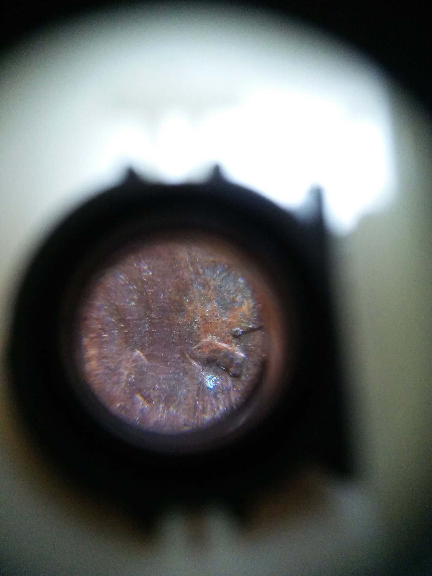 20160214_135259_HDR.jpg