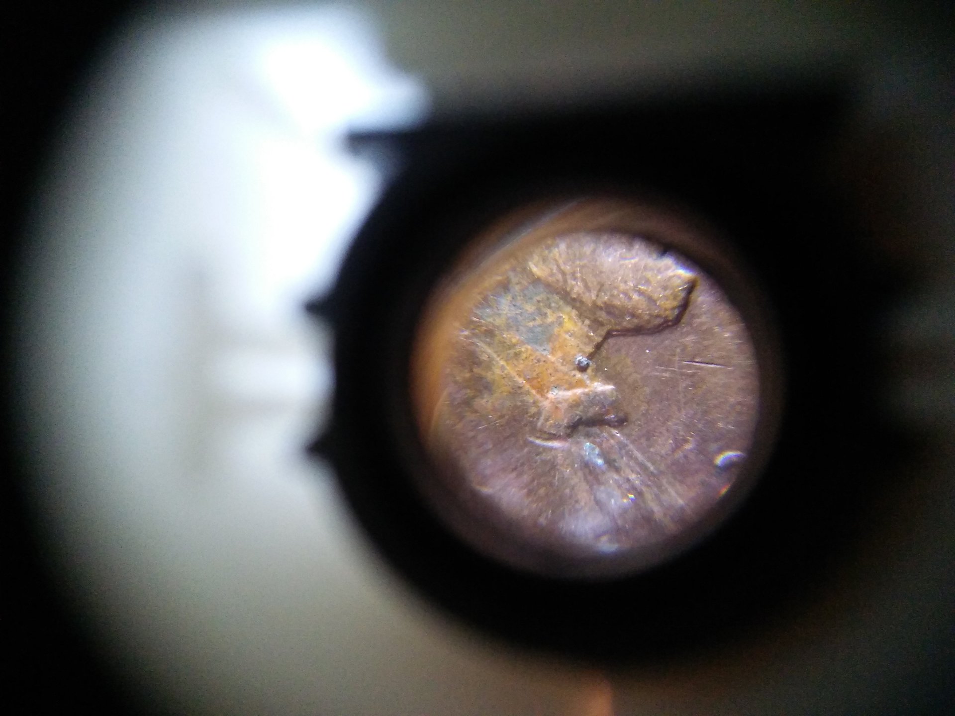 20160214_140151_HDR.jpg
