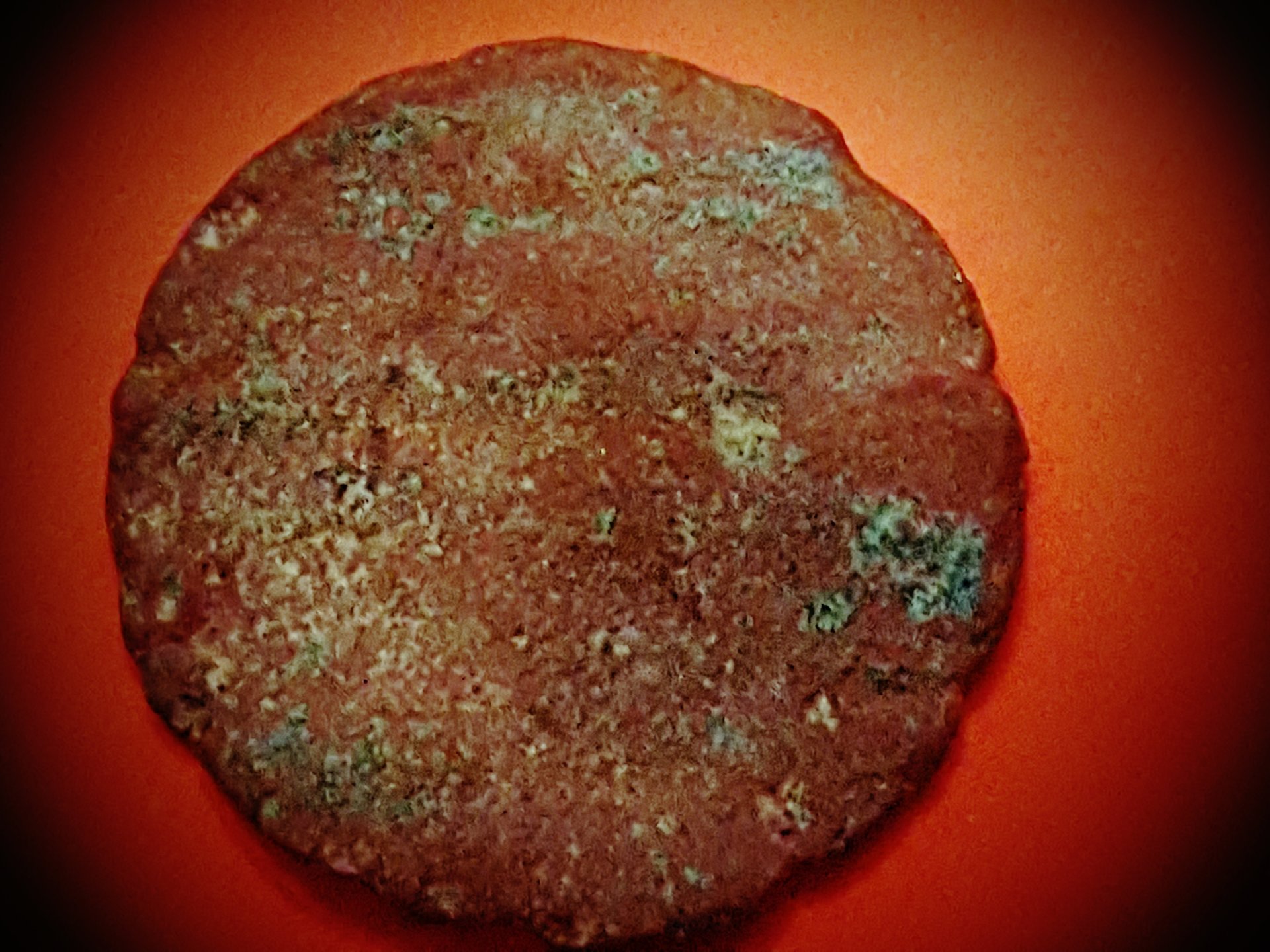 20160214_182033.jpg