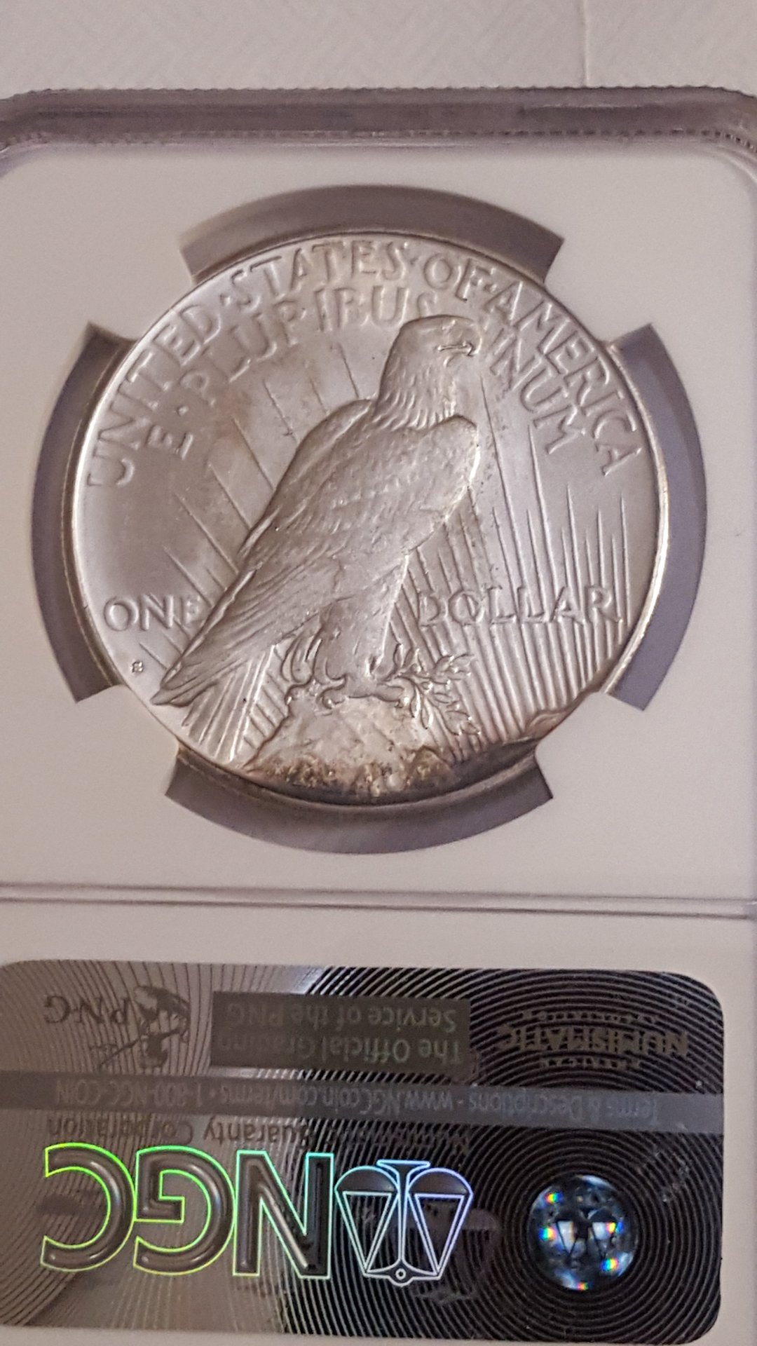 20160412_210325.jpg