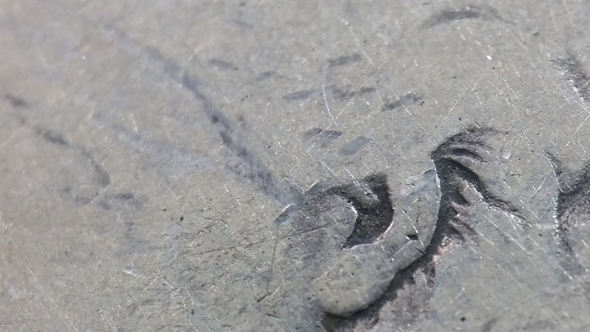20160427_060253.jpg