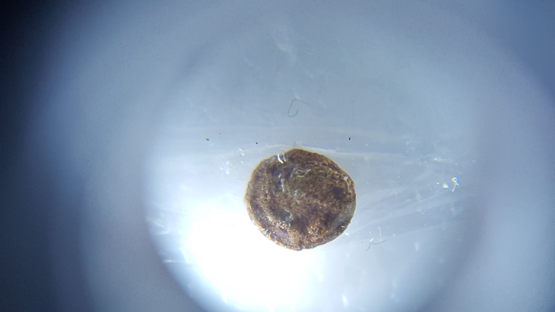 20160610_213415.jpg