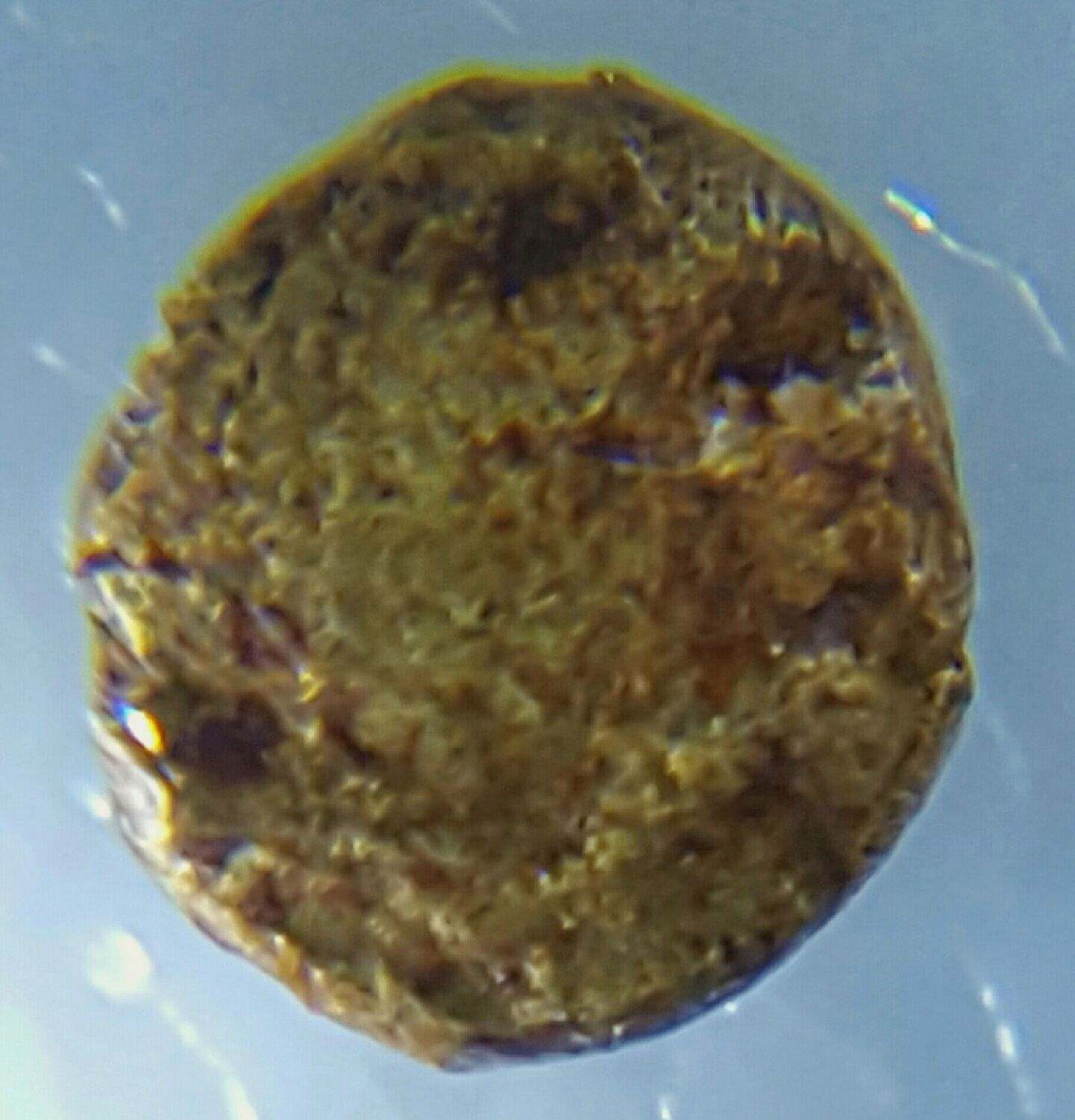 20160610_222946_1465615816906.jpg