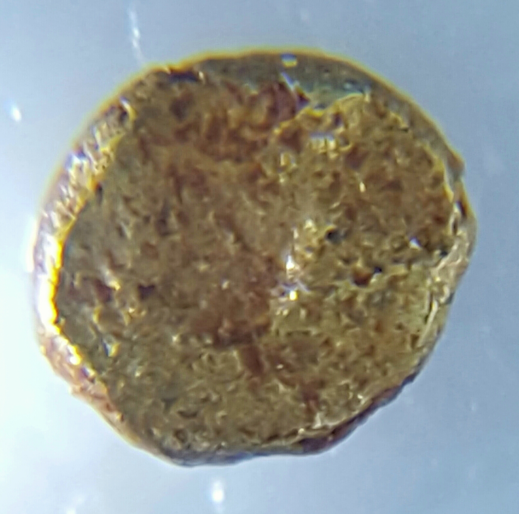 20160610_223156.jpg