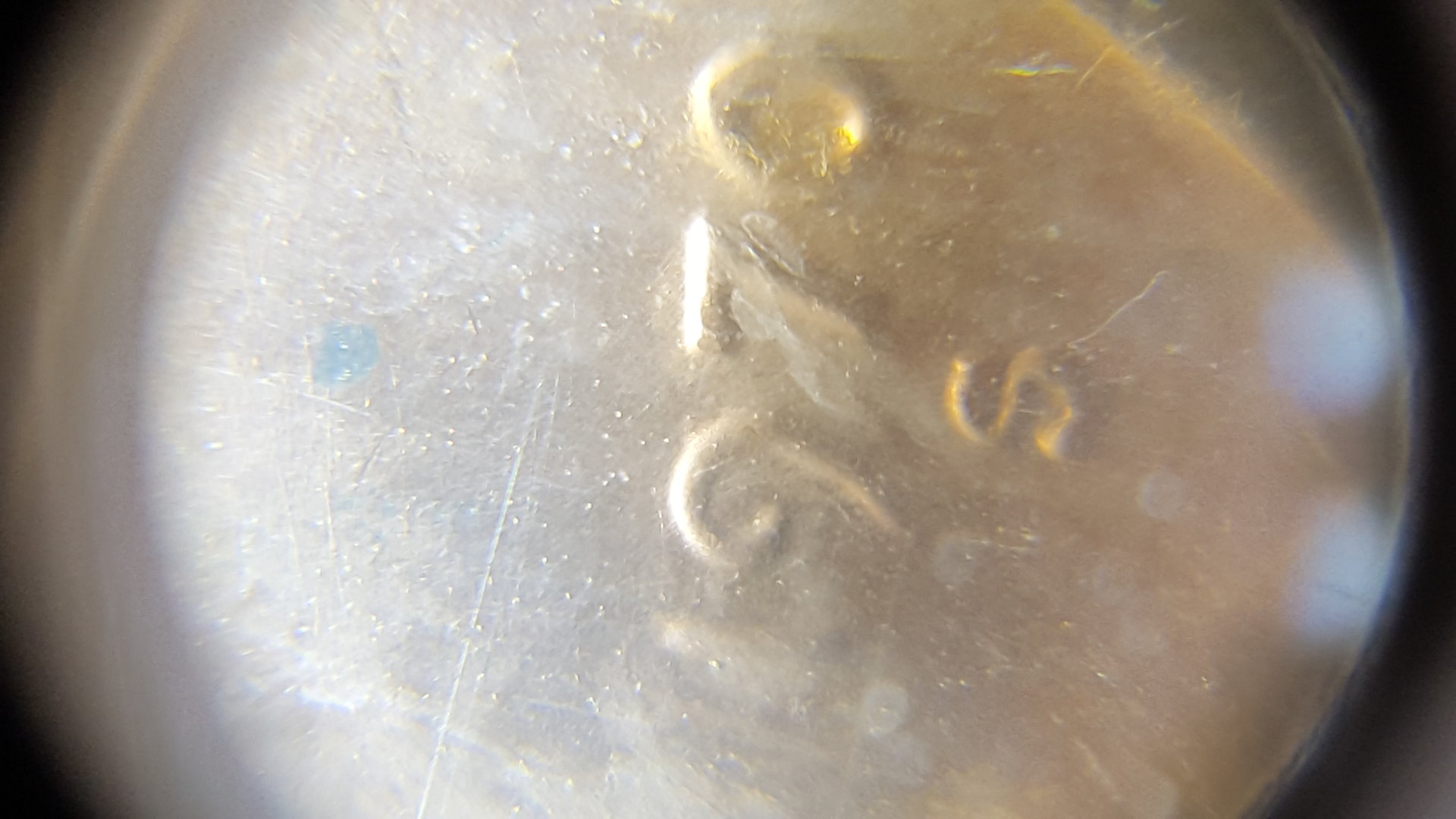 20160818_204435.jpg