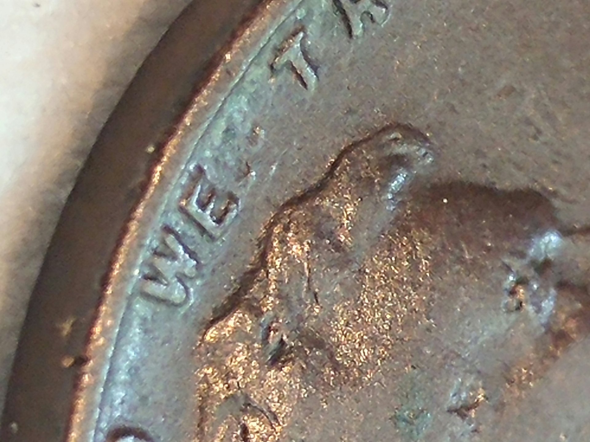 20160826_134115.jpg