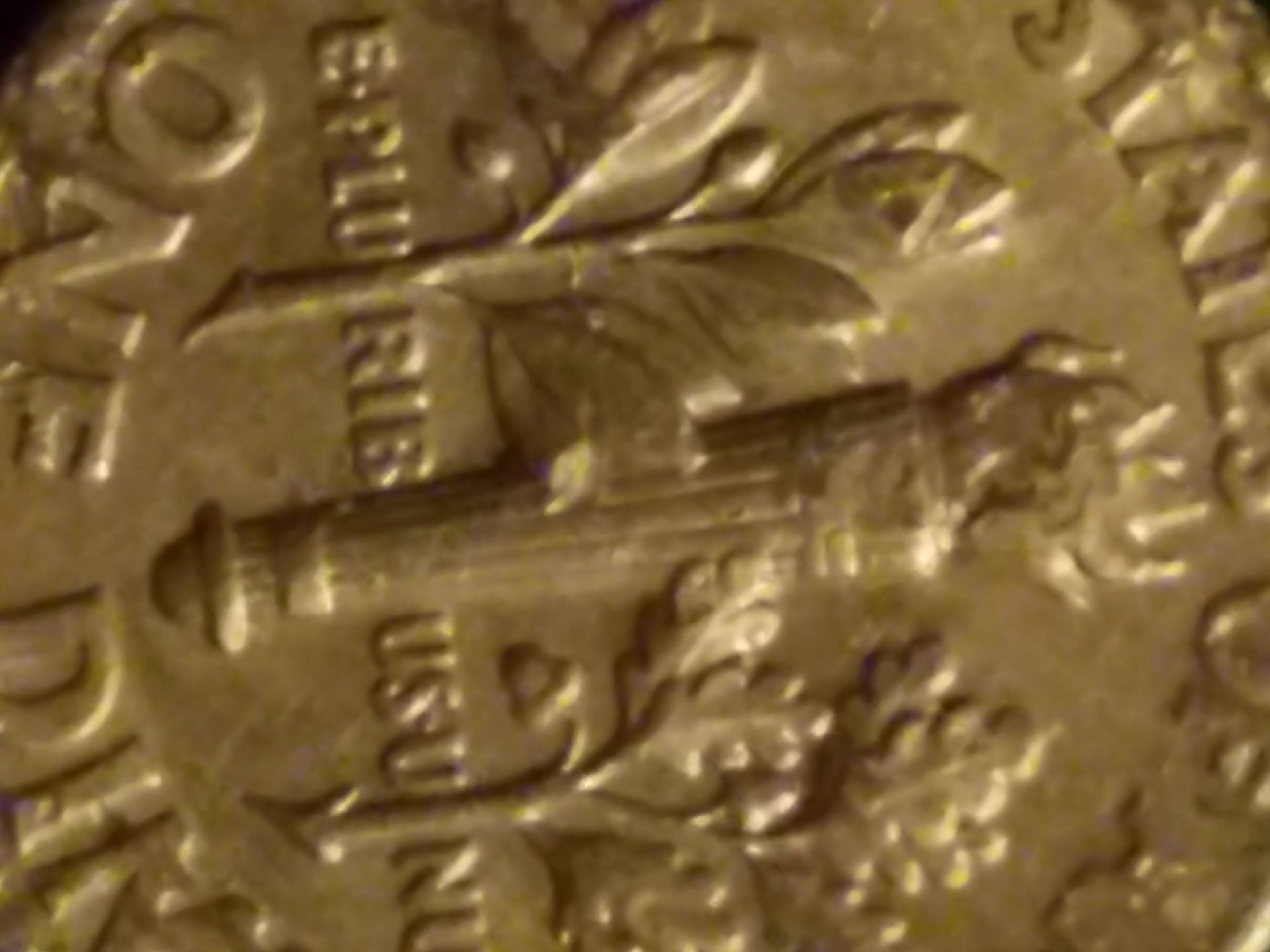 20160926_044525.jpg