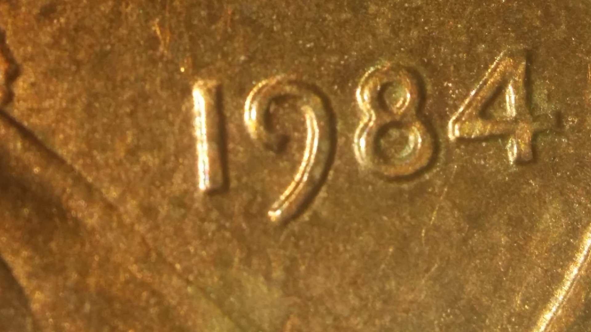 20160926_064740.jpg