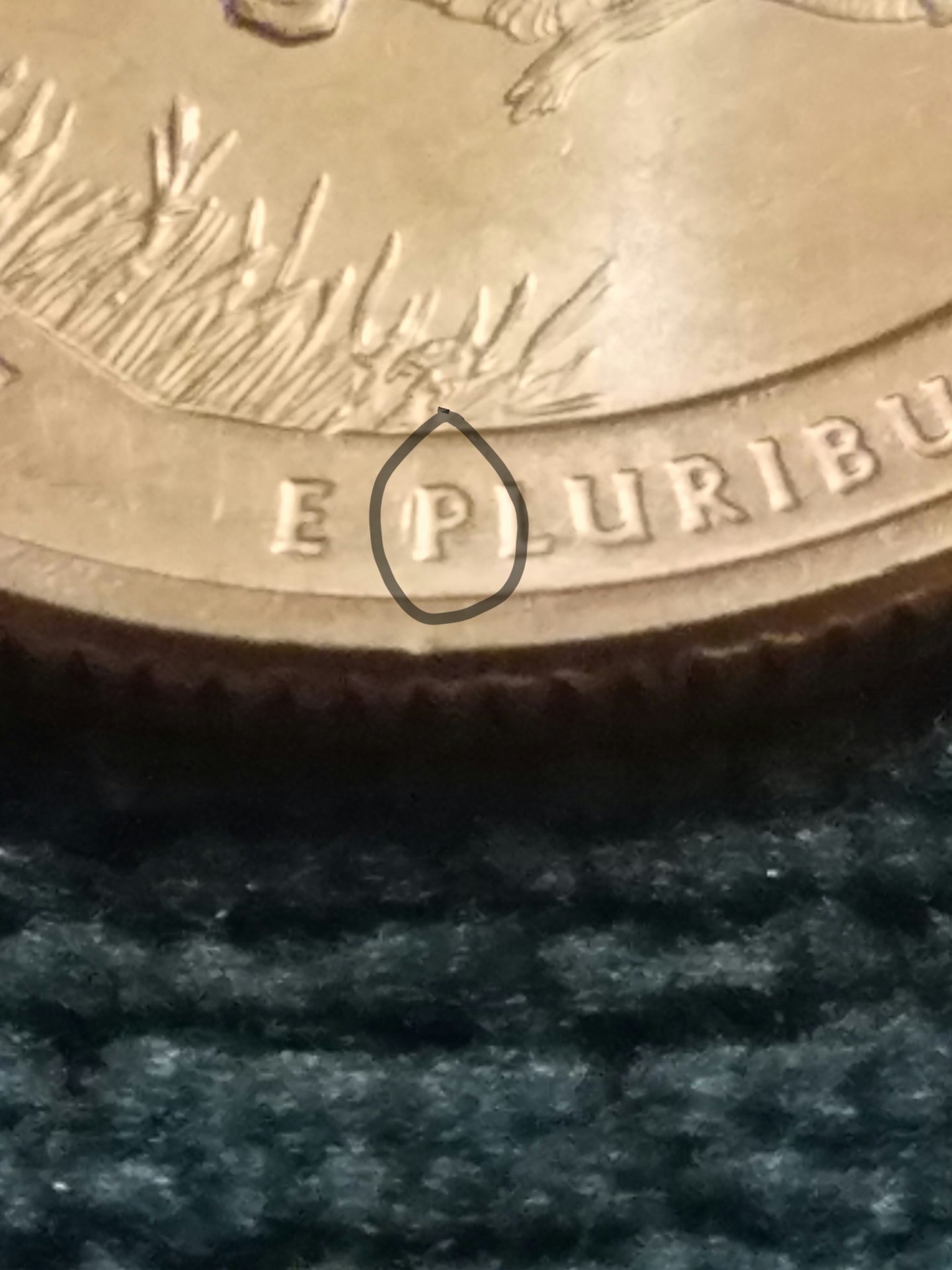 20161012_114613.jpg