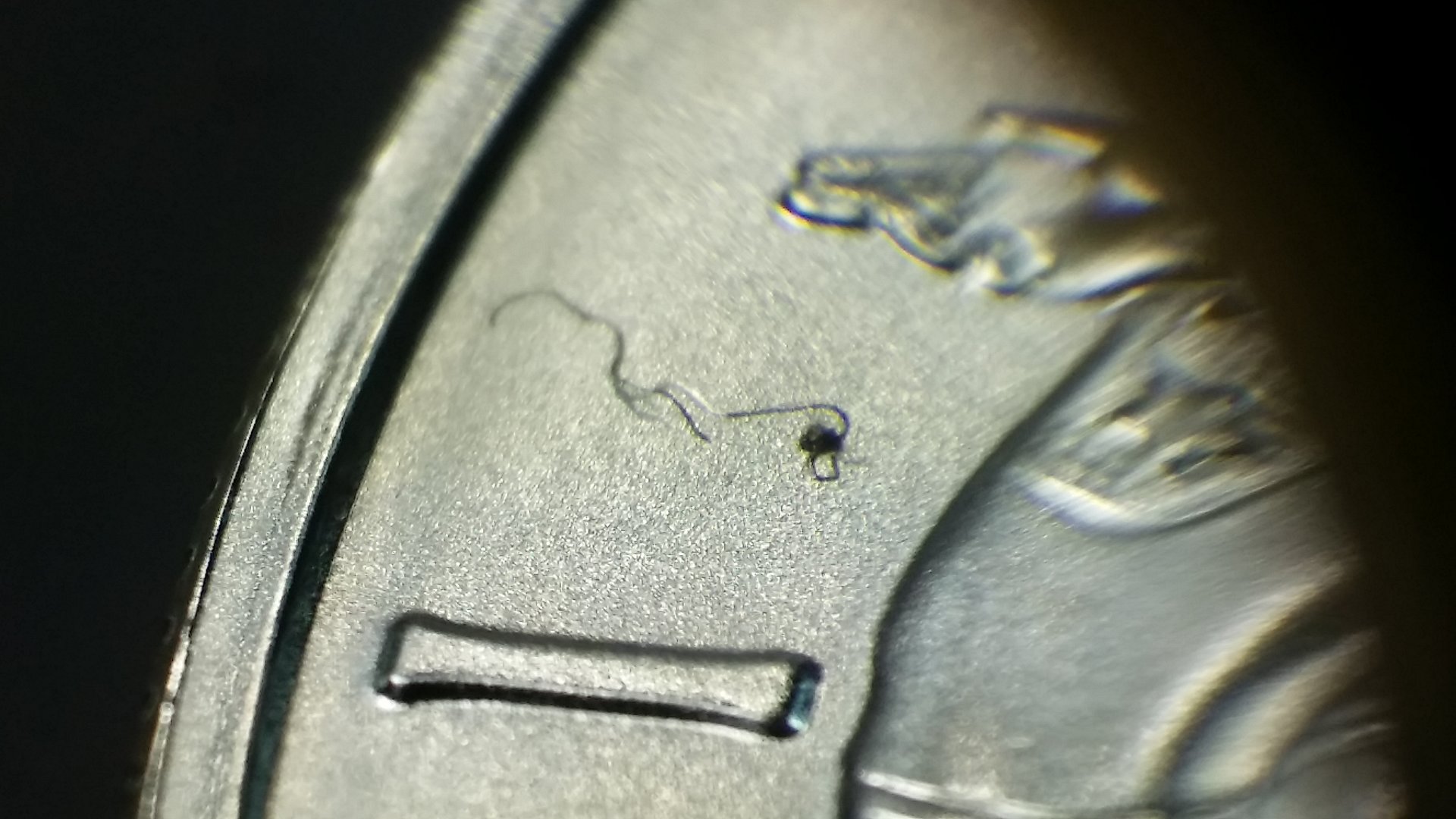 20161012_203932.jpg