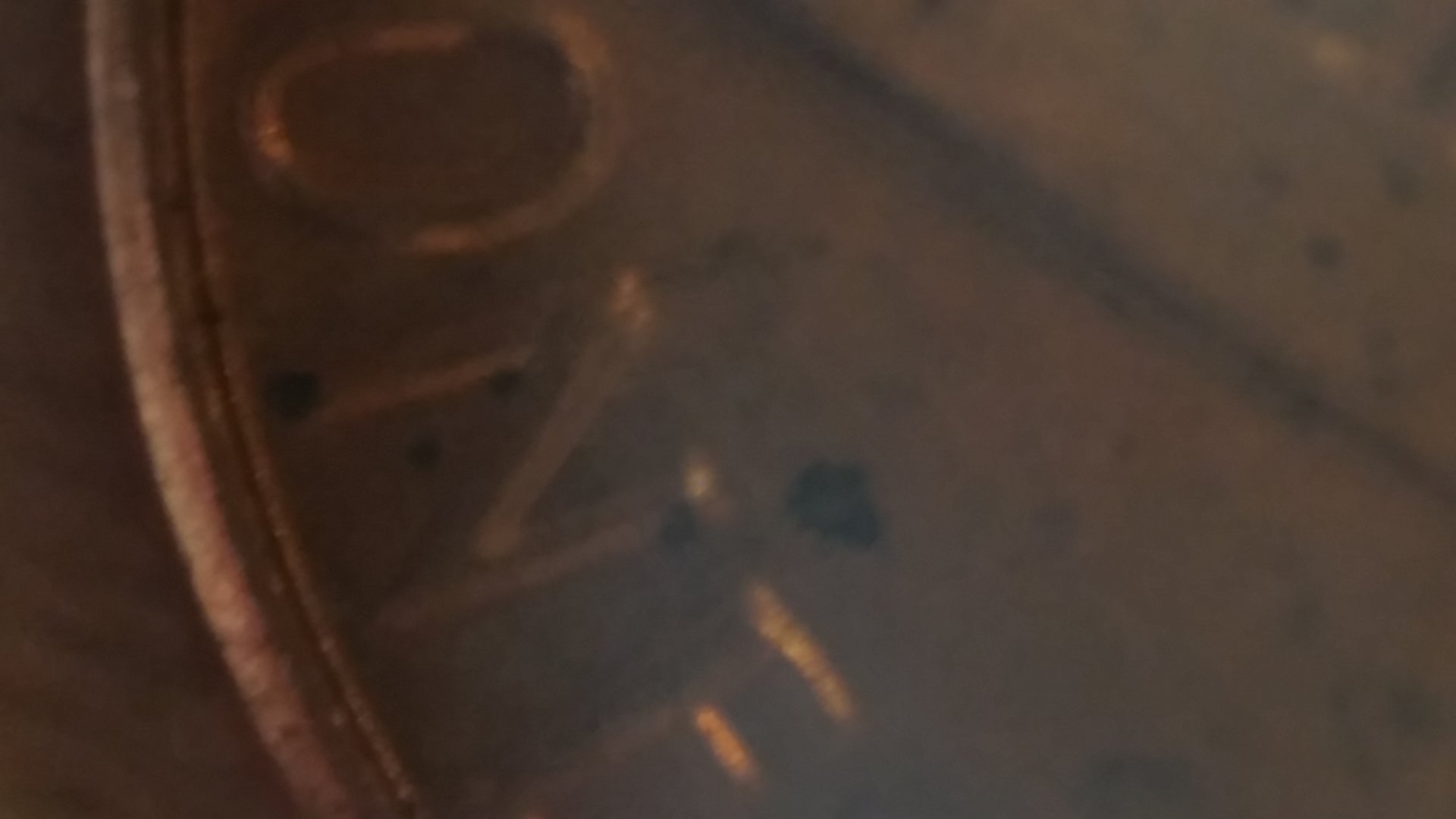 20161024_201254.jpg