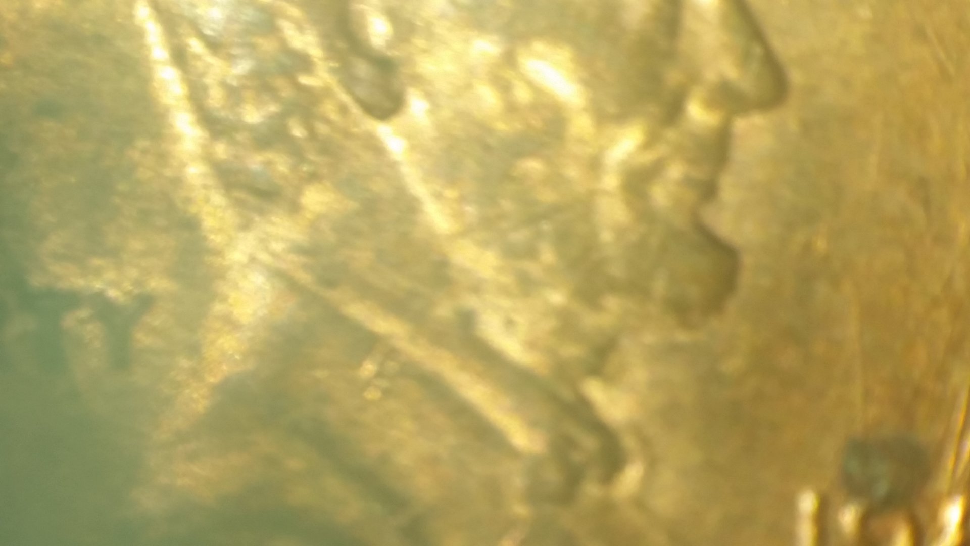 20161026_210328.jpg