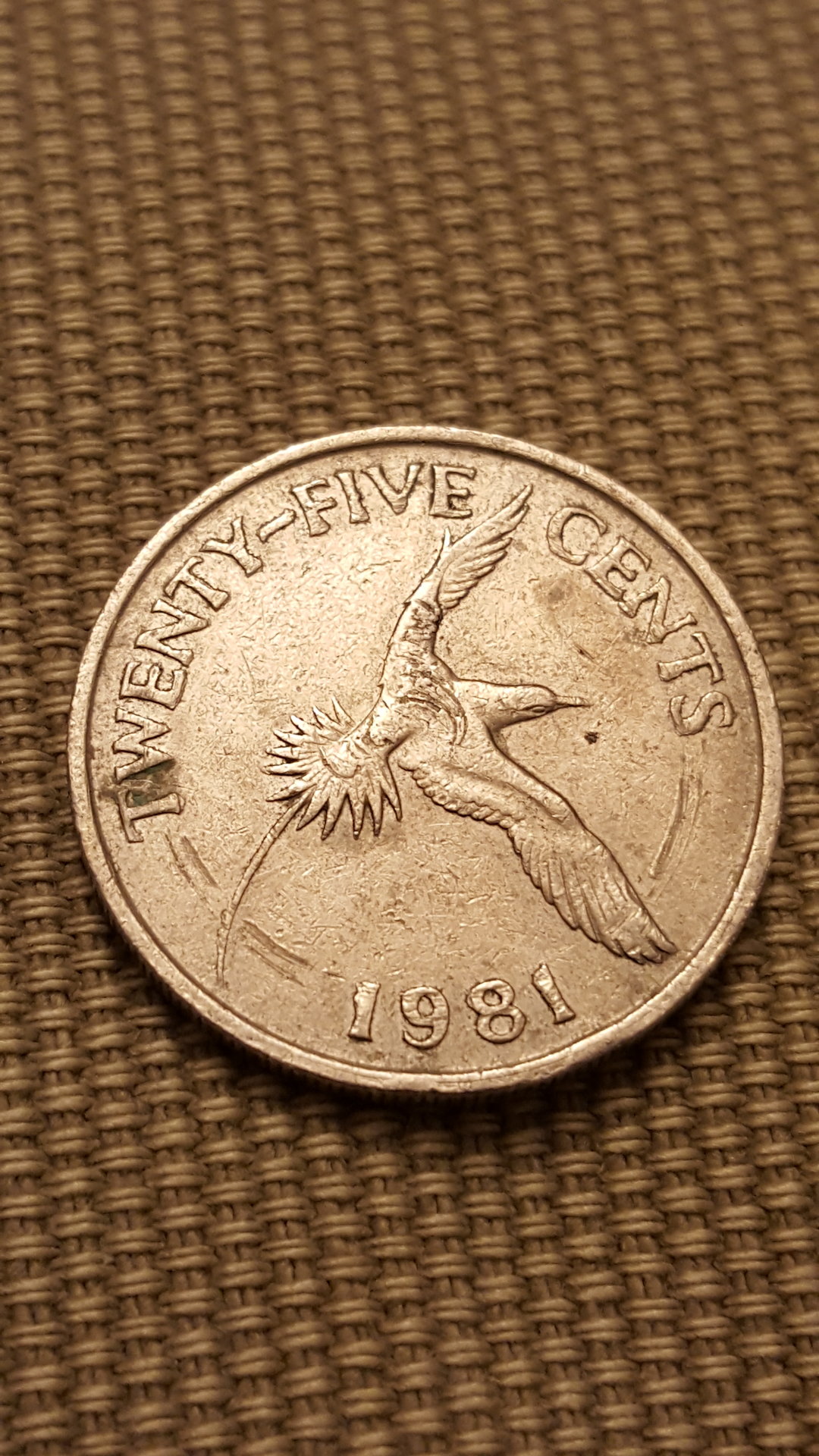 20161027_210205.jpg