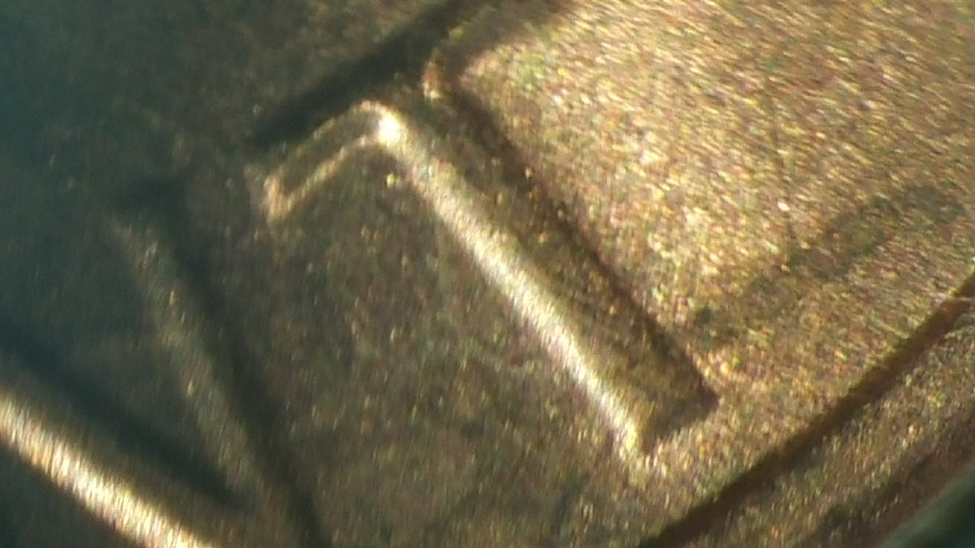 20161029_194531.jpg