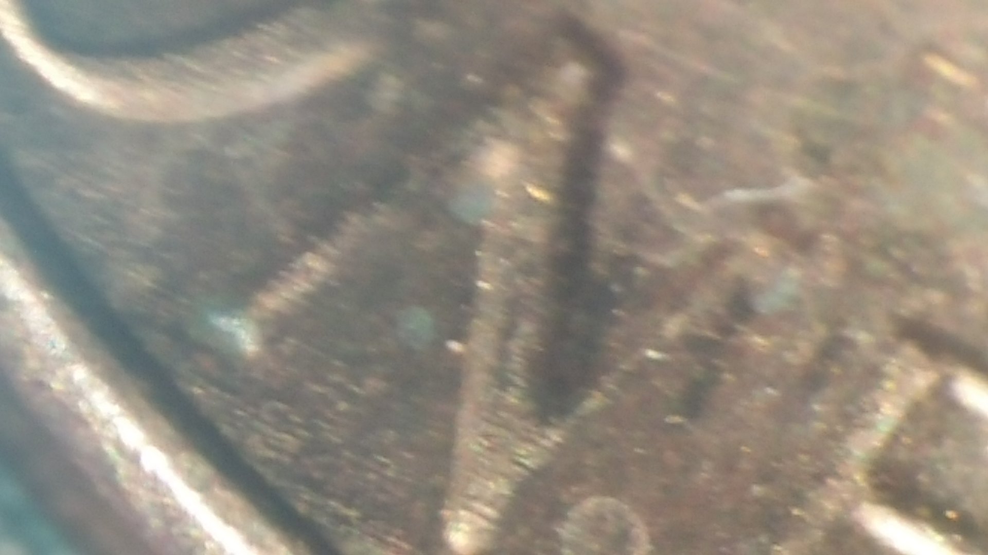 20161029_194553.jpg