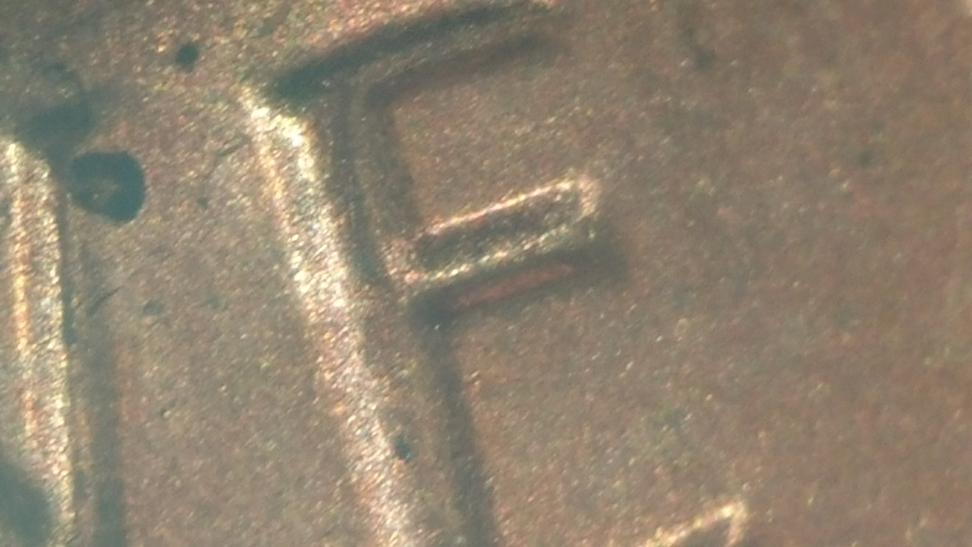 20161029_194648.jpg