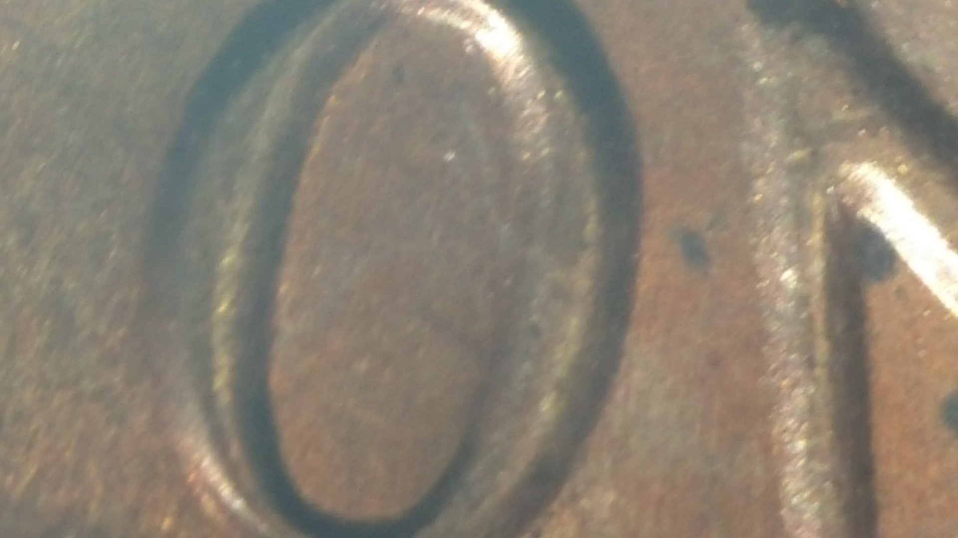 20161029_194729.jpg