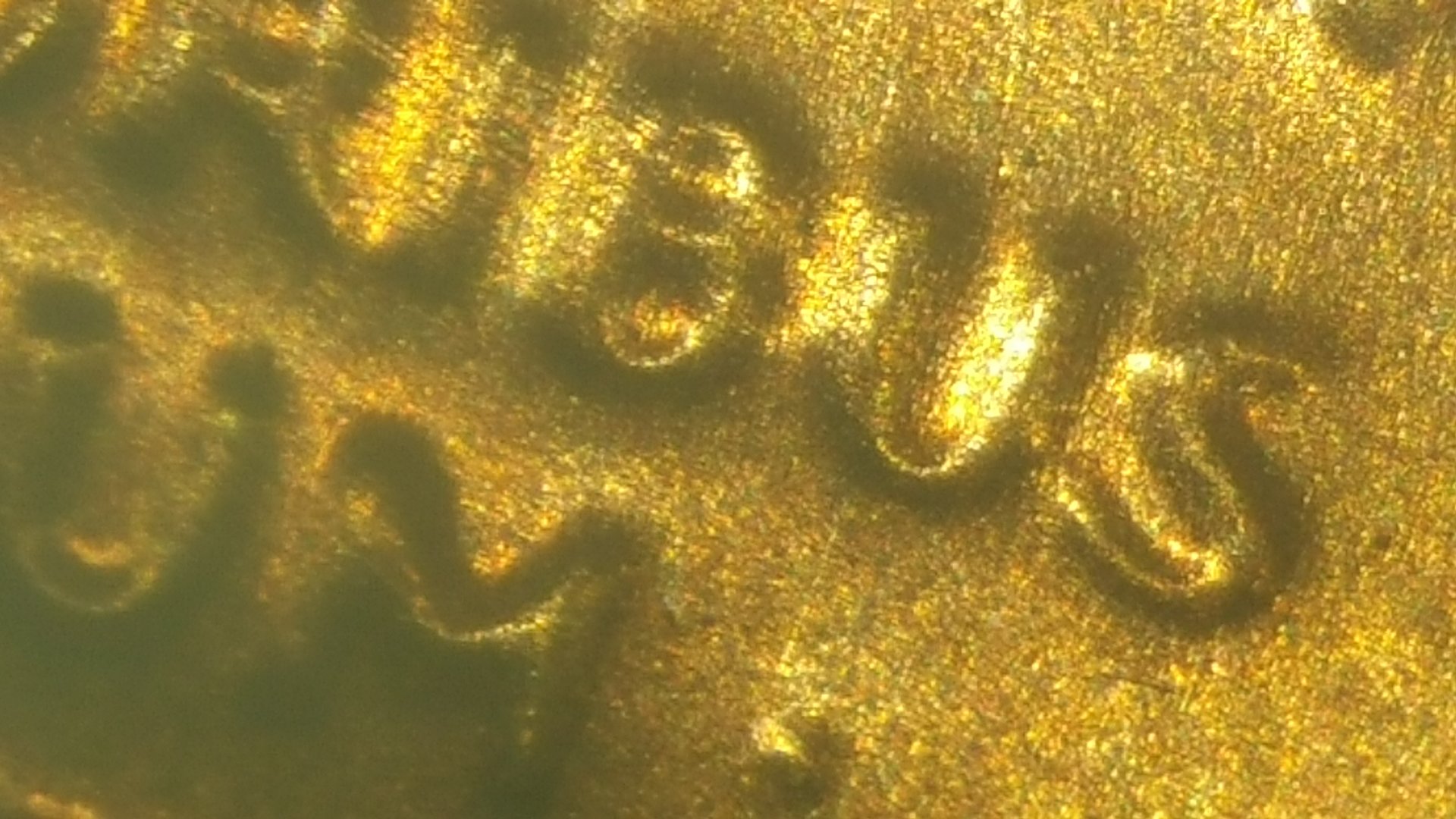 20161029_195801.jpg