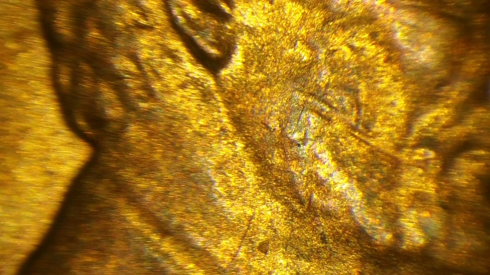 20161029_204856.jpg