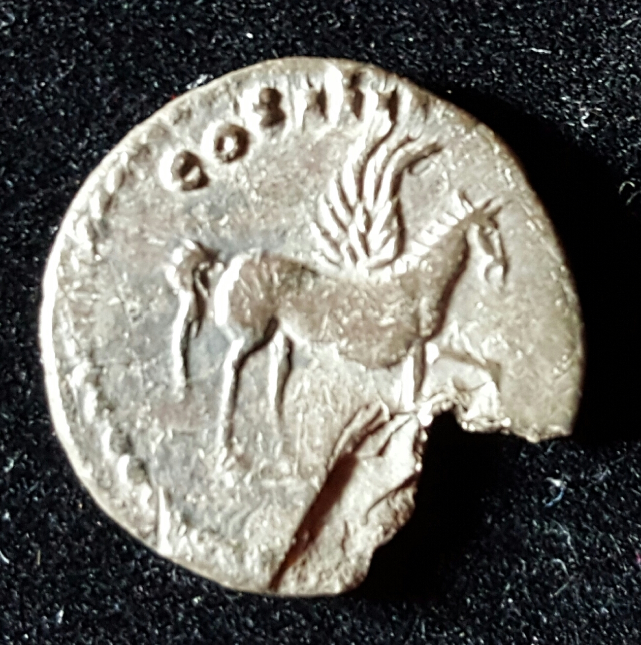 20161031_202159.jpg