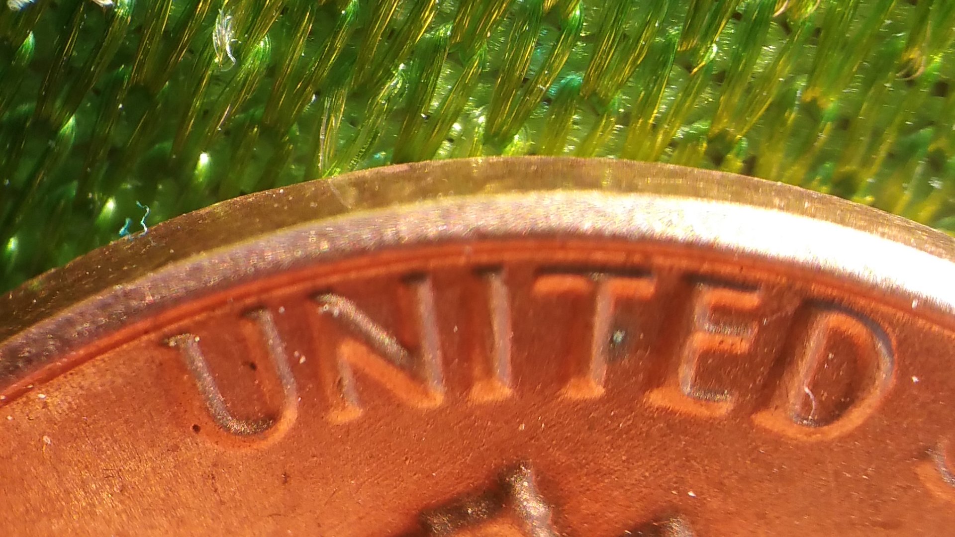 20161117_081925.jpg