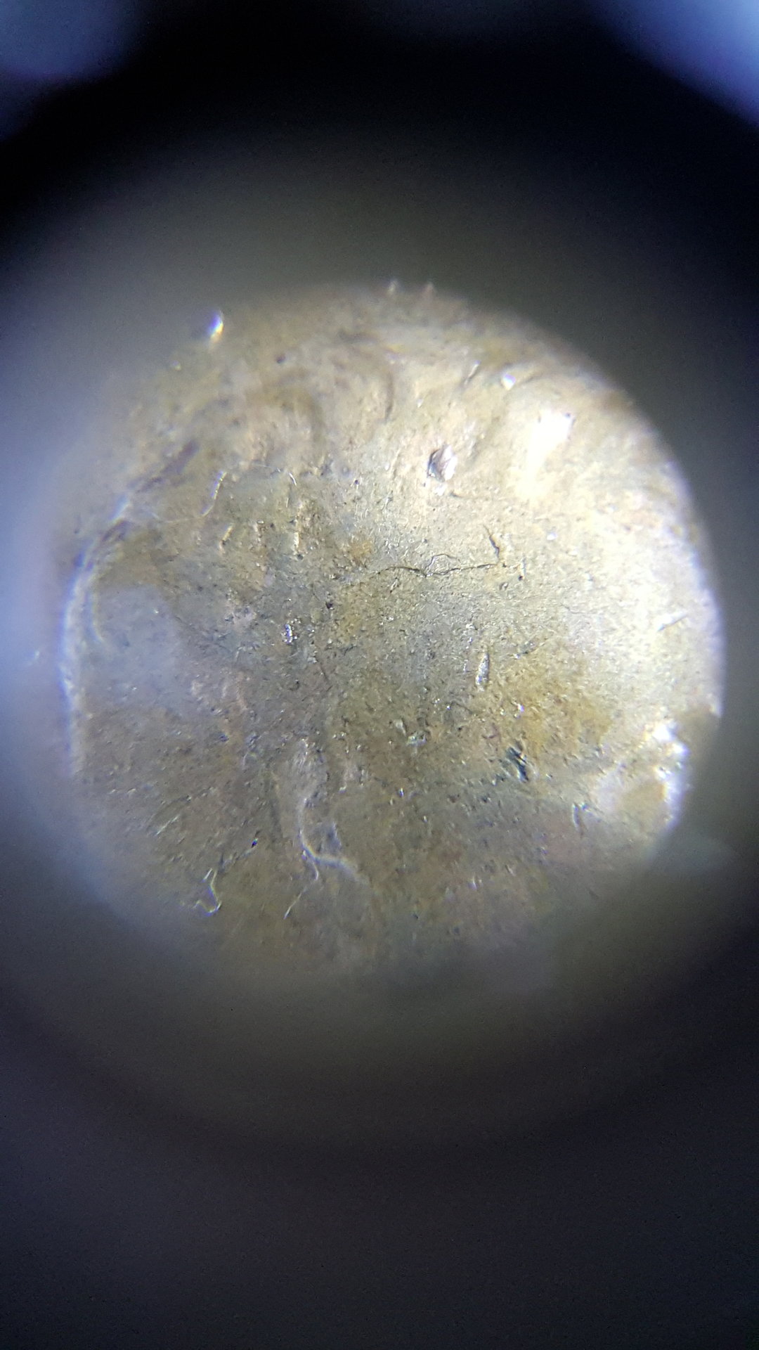 20161118_141147.jpg