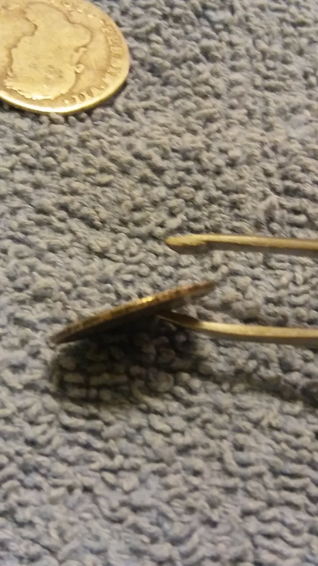 20161123_213615.jpg