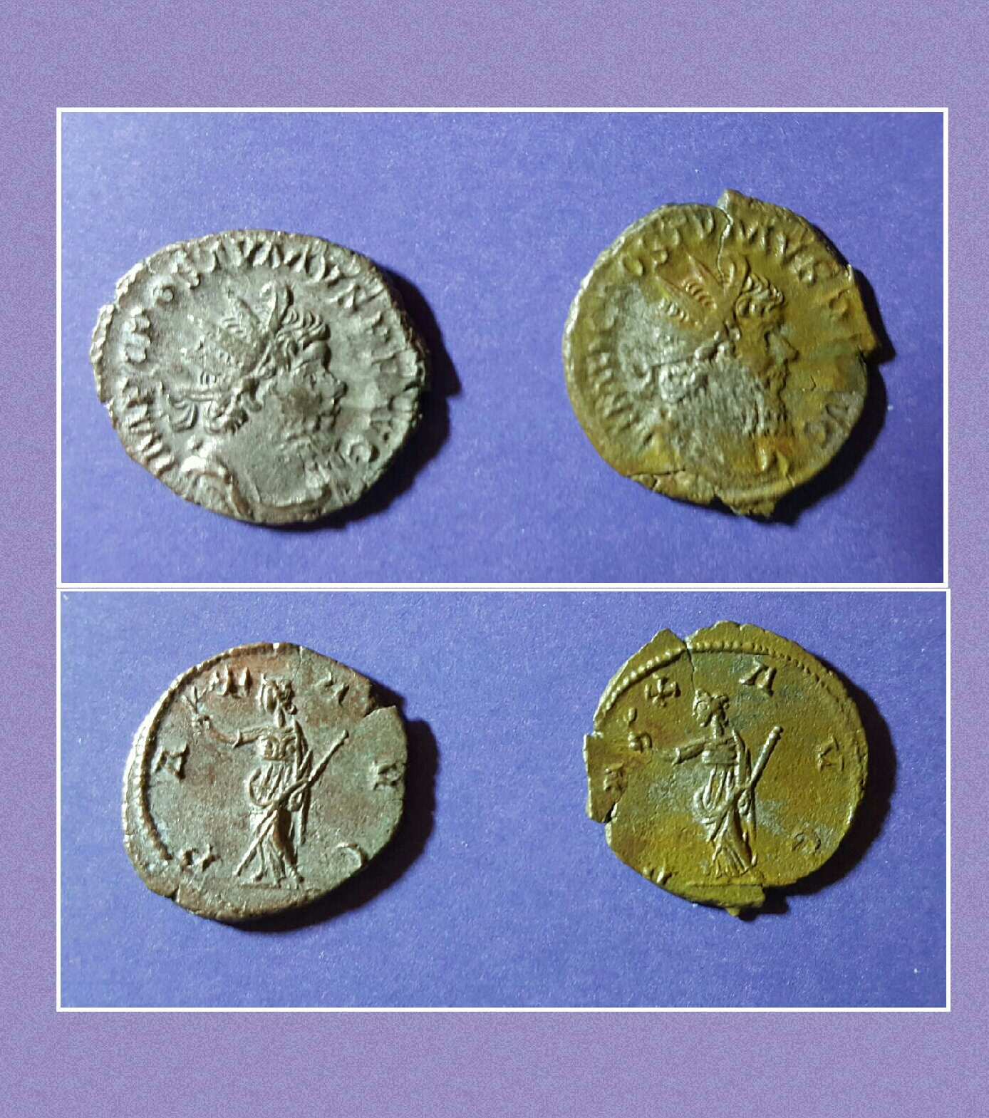 20161124_190542.jpg