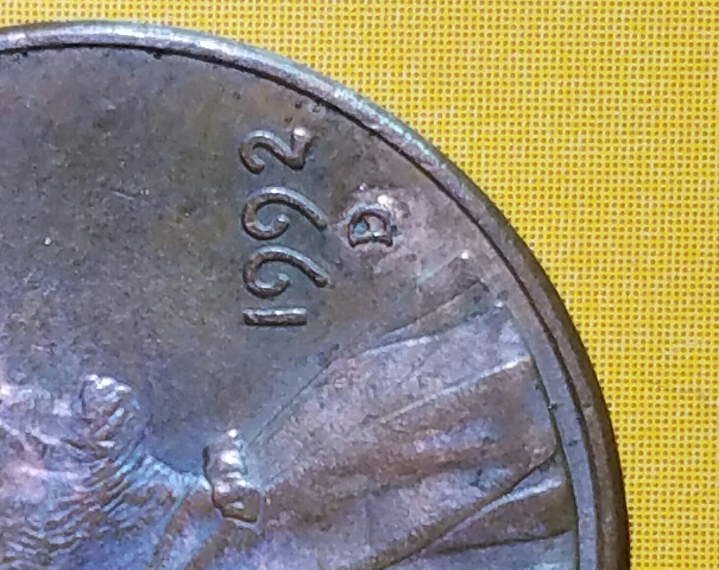 20161126_130652.jpg